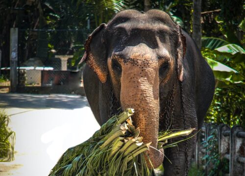 10 Day Tour [With Accommodation]