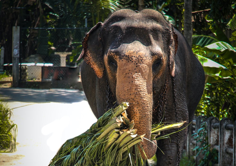 10 Day Tour [With Accommodation]