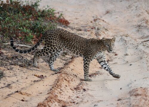 6 Day Tour [Only Car + Driver]