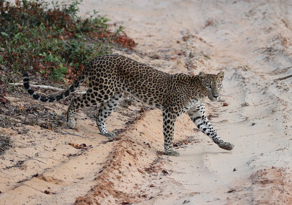 6 Day Tour [Only Car + Driver]